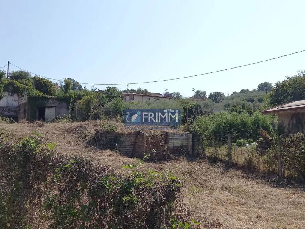 immagine annuncio 3 di 4