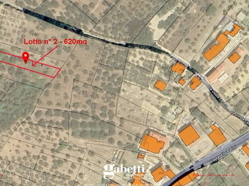 immagine annuncio 1 di 4