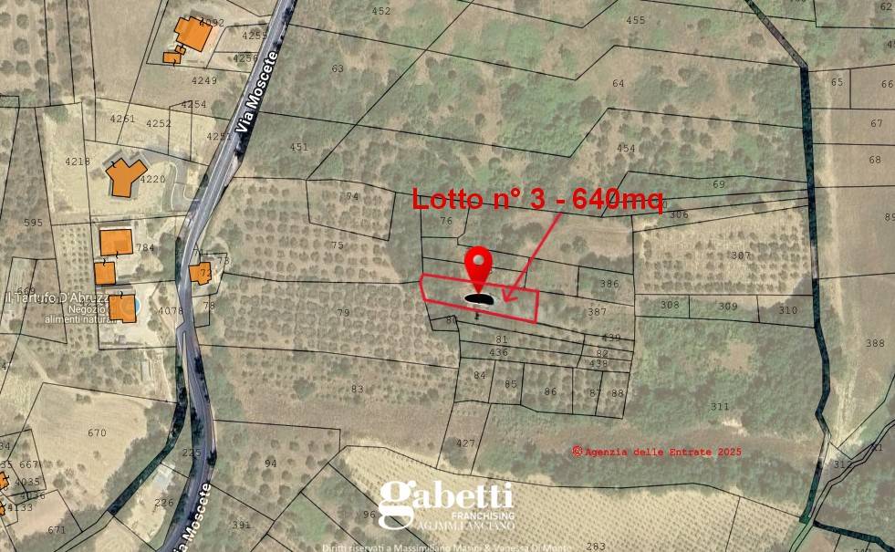 immagine annuncio 2 di 4