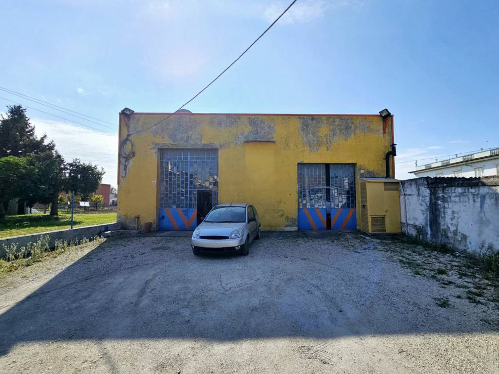 immagine annuncio 4 di 5