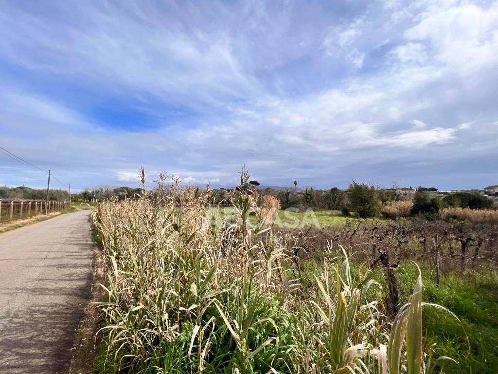 immagine annuncio 2 di 3