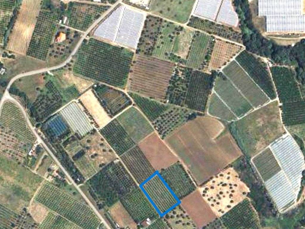 terreno agricolo in vendita a Policoro