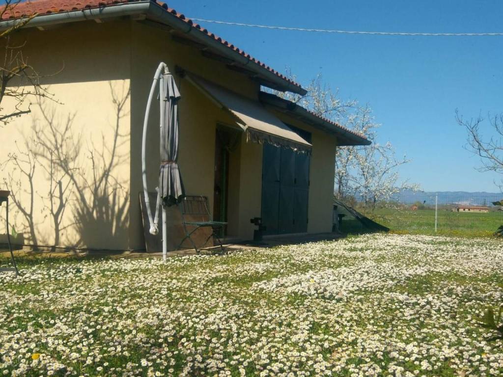 immagine annuncio 1 di 3