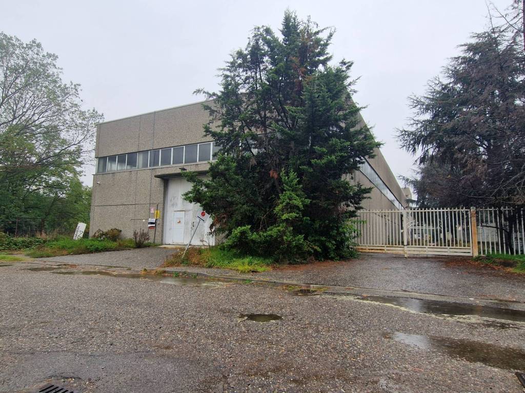 immagine annuncio 1 di 5