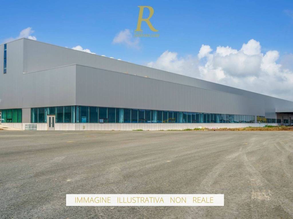 immagine annuncio 2 di 5