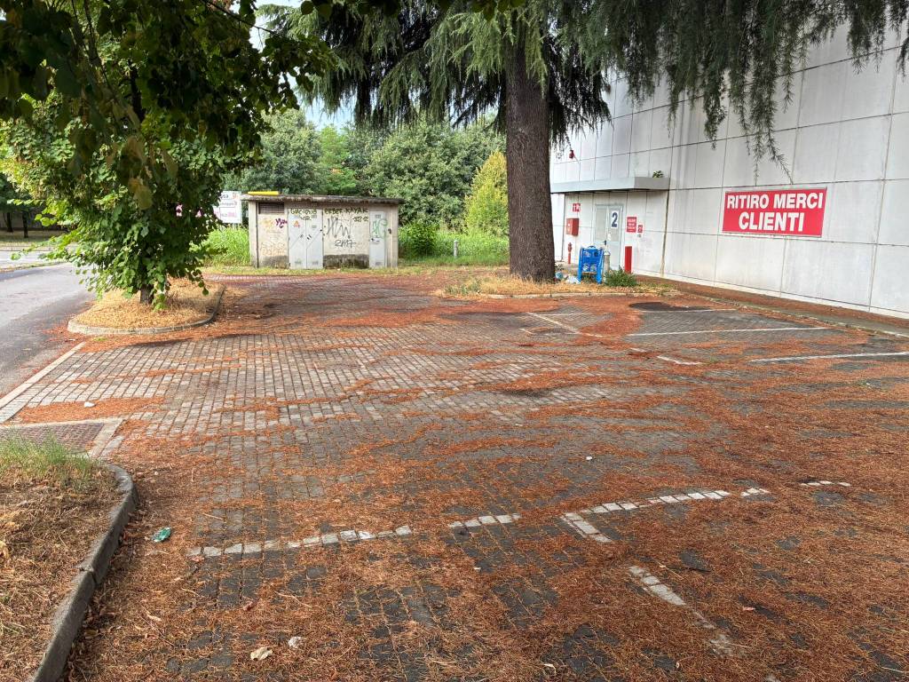 immagine annuncio 2 di 3