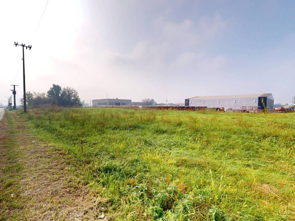 immagine annuncio 2 di 4