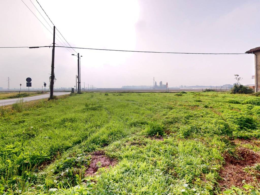 immagine annuncio 1 di 4