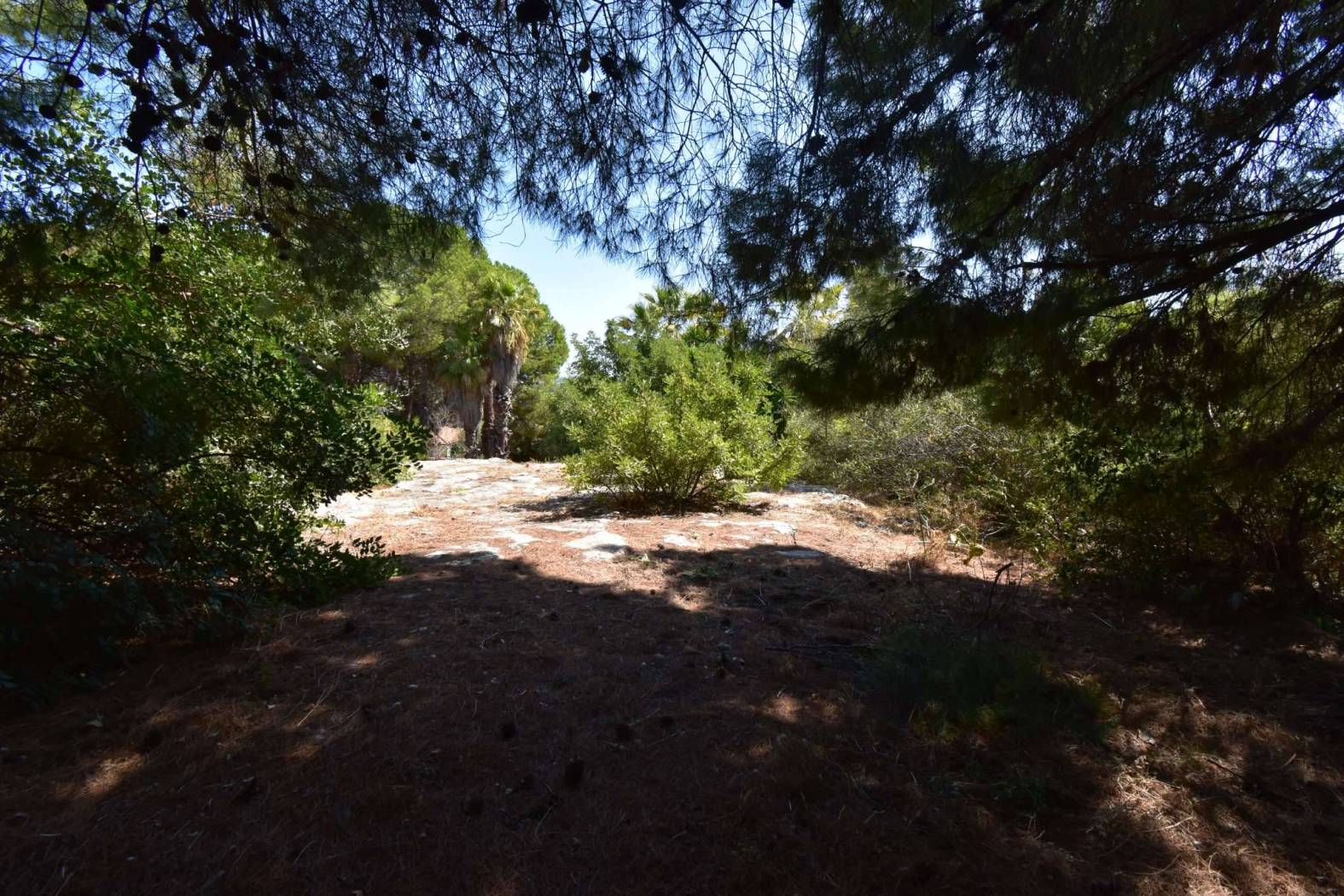 Villa unifamiliare strada Spinagallo, Maeggio, Siracusa - Photo 17