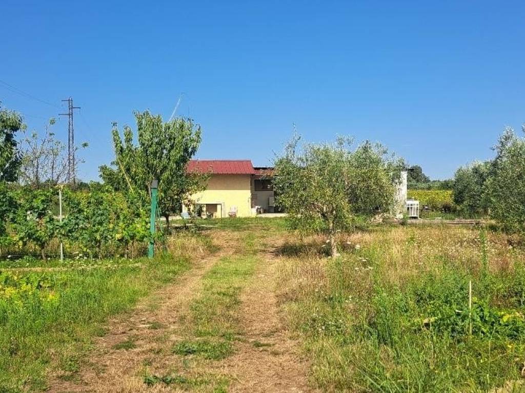 immagine annuncio 2 di 5