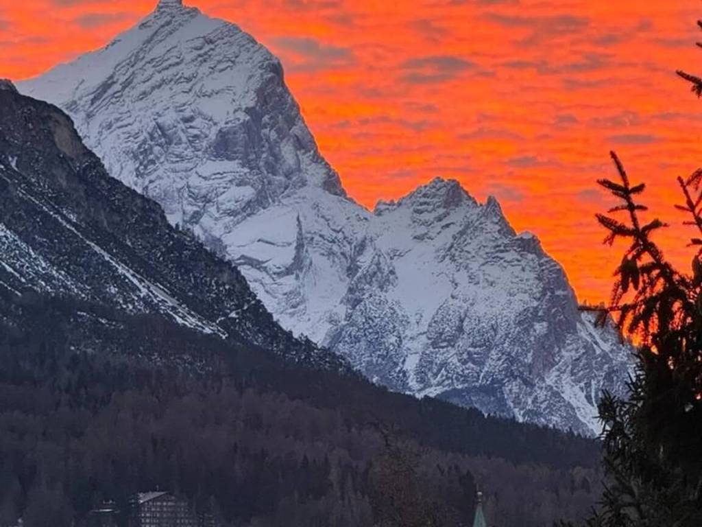 immagine annuncio 2 di 4