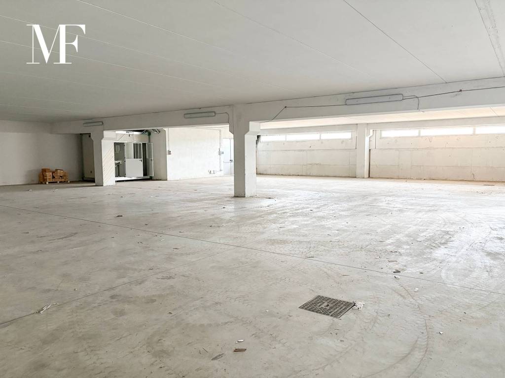 immagine annuncio 2 di 4