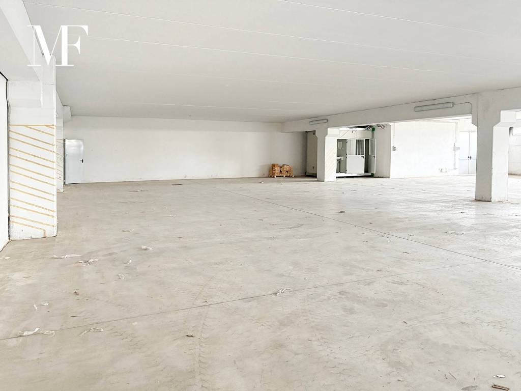 immagine annuncio 3 di 4