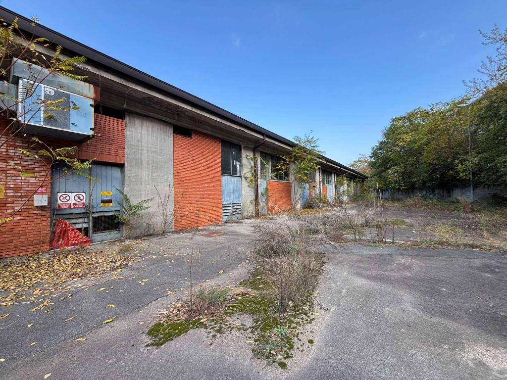 immagine annuncio 1 di 5