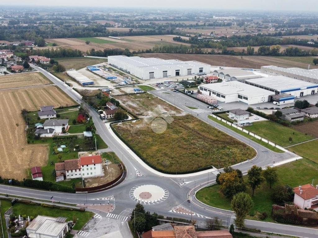 immagine annuncio 2 di 4