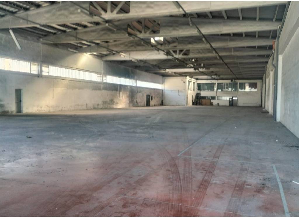 immagine annuncio 1 di 4