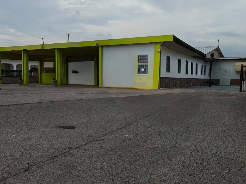 immagine annuncio 1 di 4