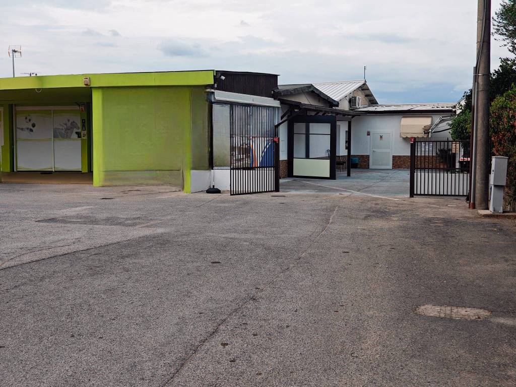 immagine annuncio 2 di 4