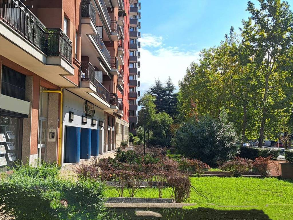 immagine annuncio 2 di 4