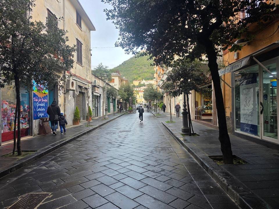 immagine annuncio 2 di 4