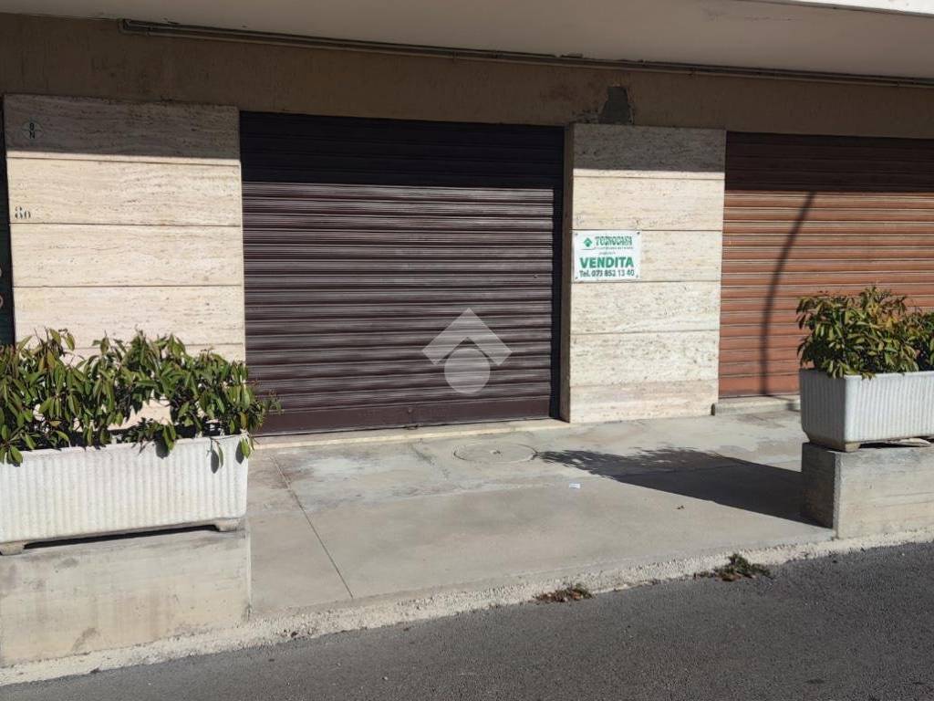 immagine annuncio 1 di 4