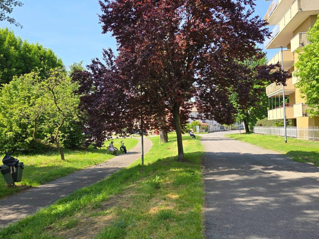 immagine annuncio 2 di 5