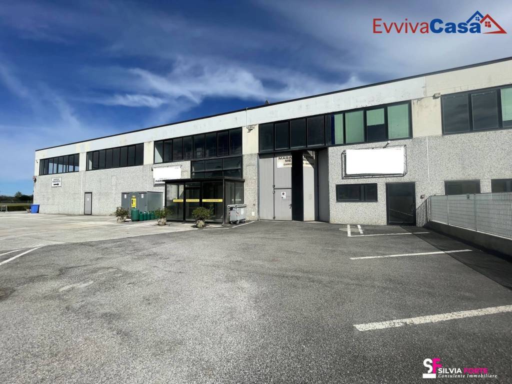 immagine annuncio 2 di 5