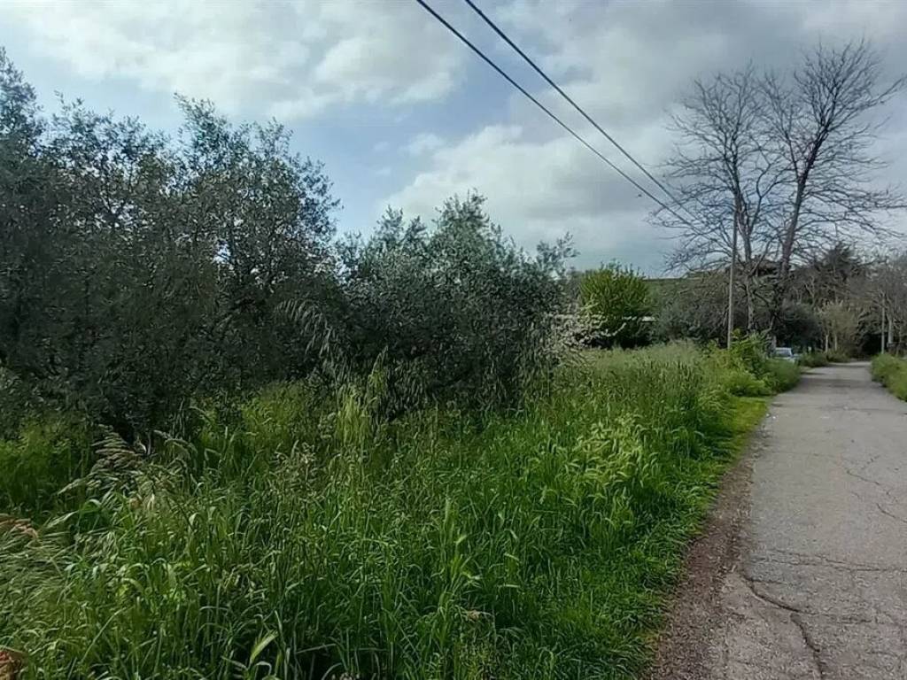 immagine annuncio 1 di 2