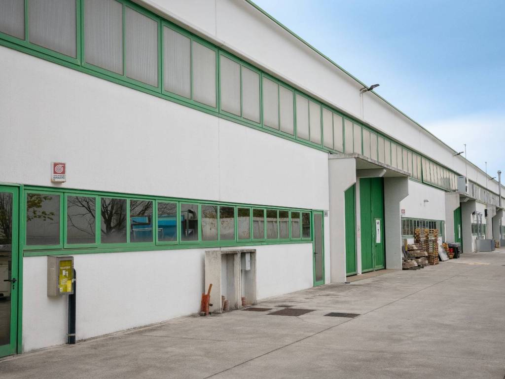 immagine annuncio 1 di 5