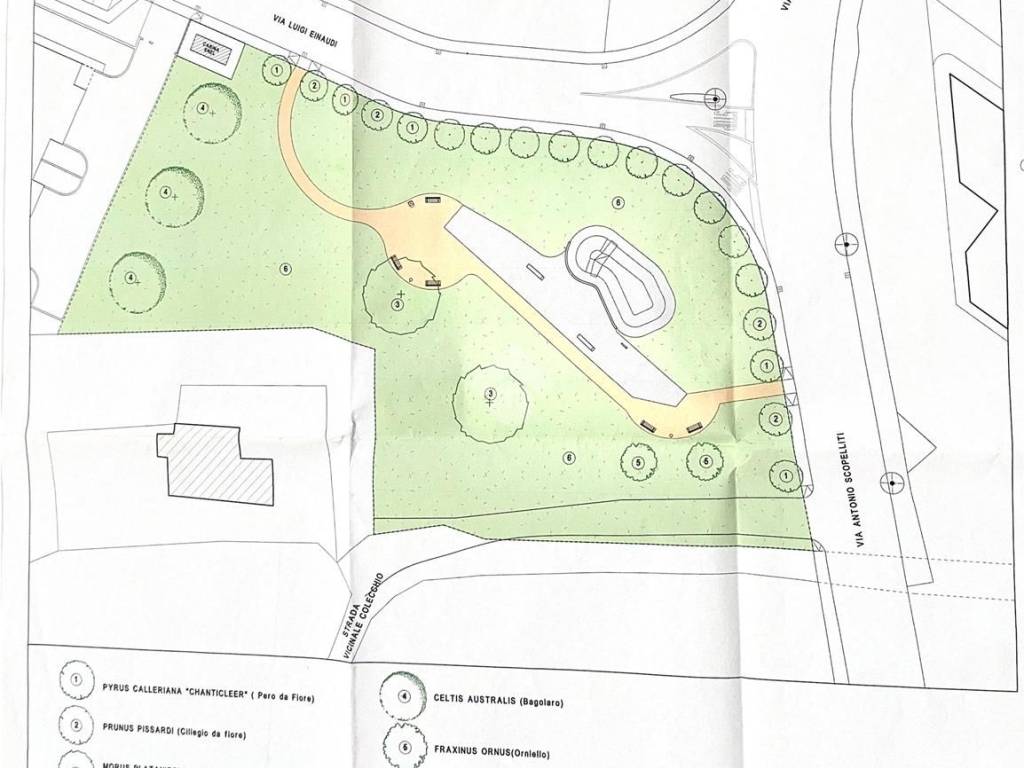 immagine annuncio 1 di 5