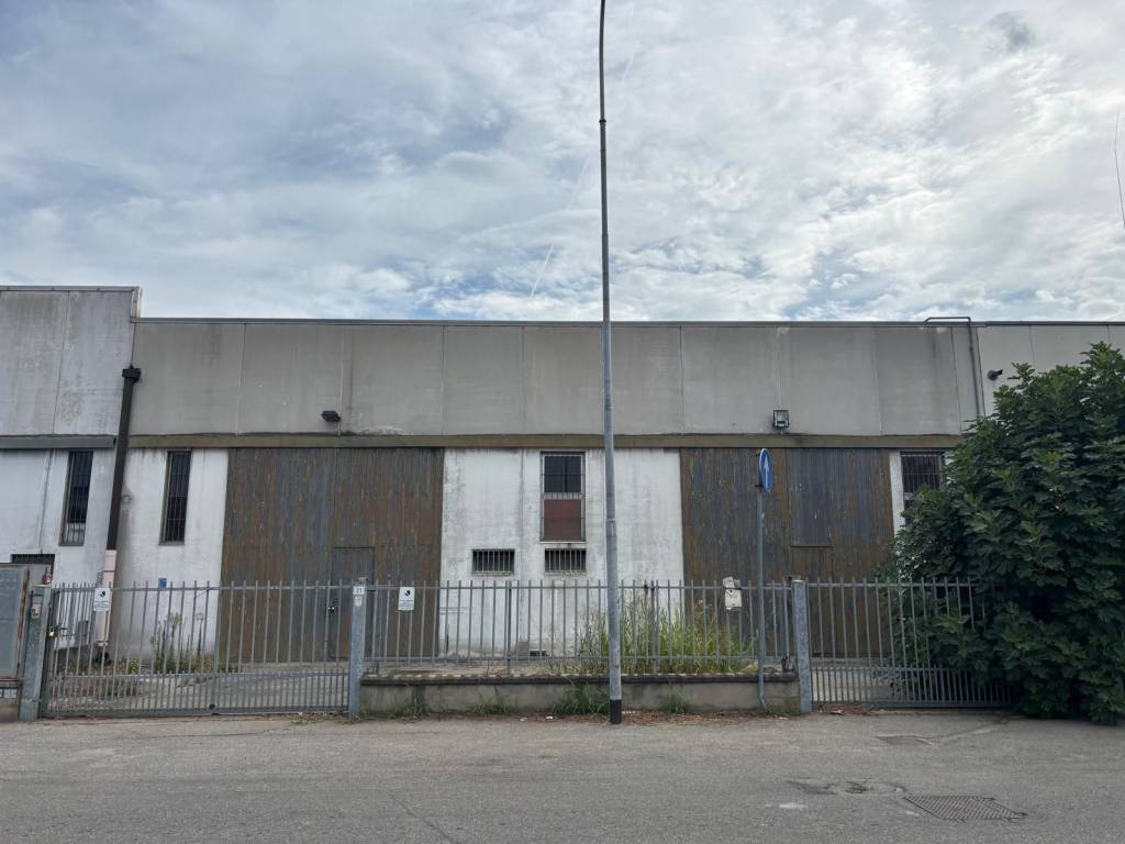 immagine annuncio 2 di 5