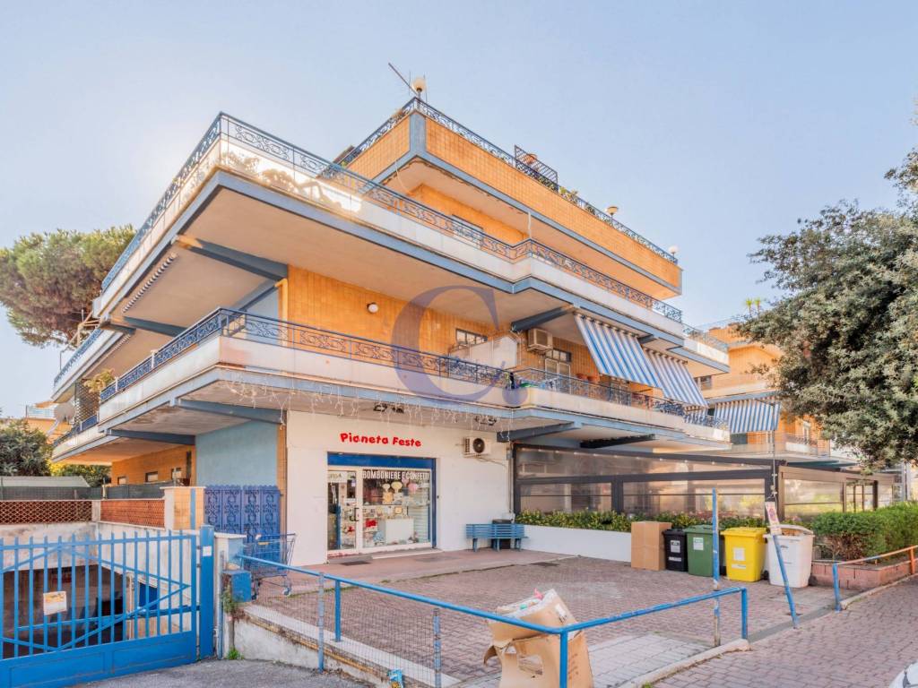 immagine annuncio 1 di 5