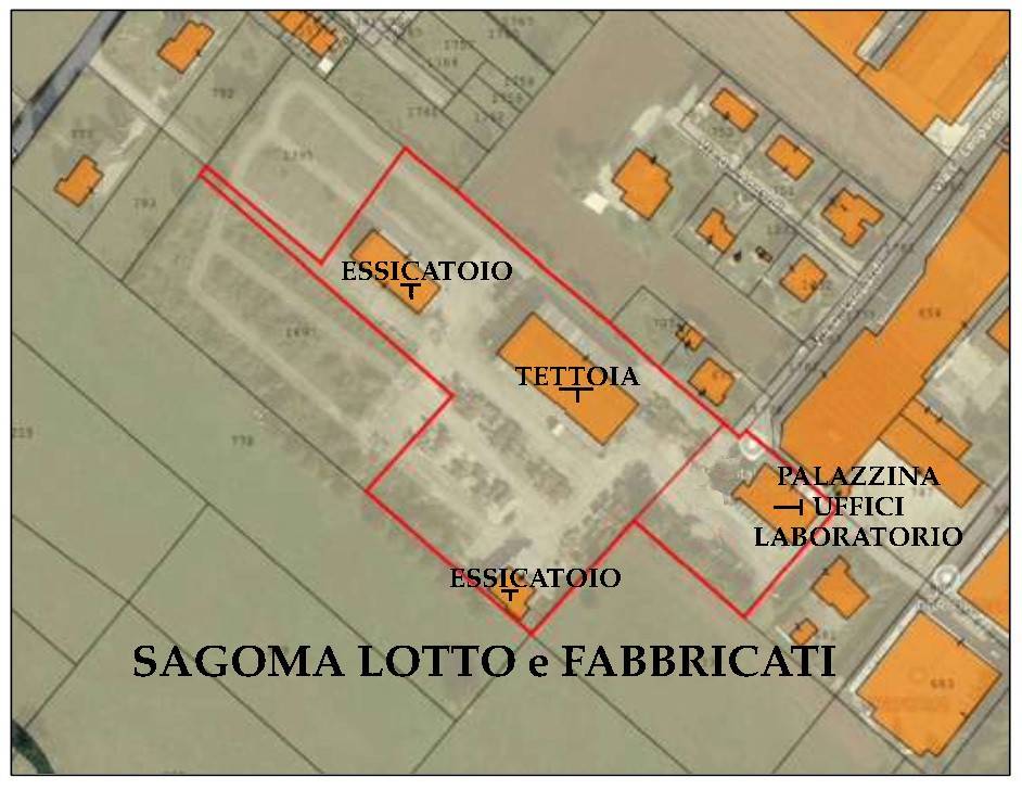 immagine annuncio 3 di 5