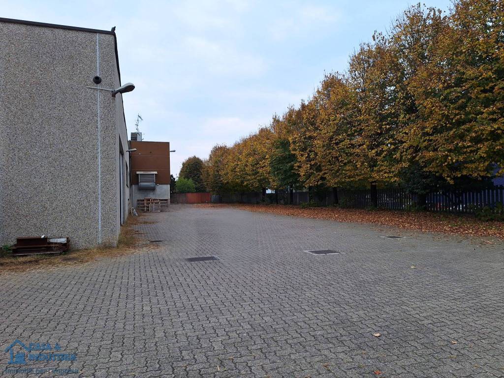 immagine annuncio 2 di 5