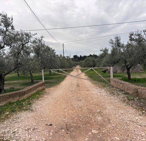 immagine annuncio 1 di 3