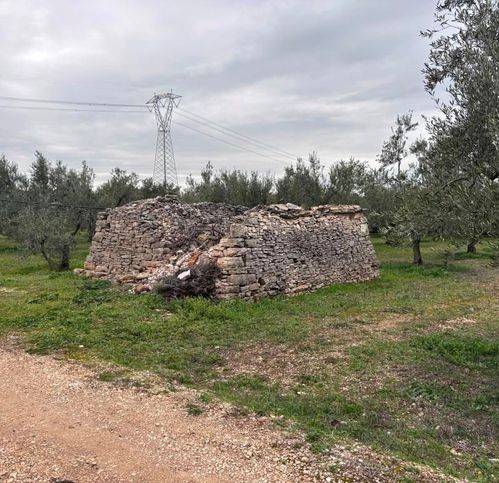 immagine annuncio 2 di 3