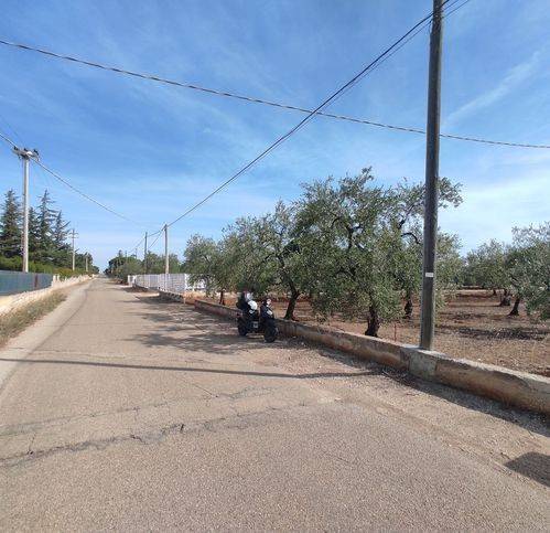 immagine annuncio 1 di 2