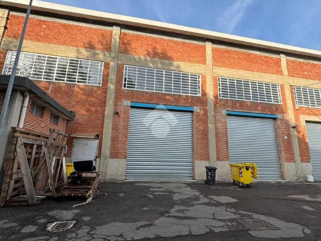 immagine annuncio 2 di 5