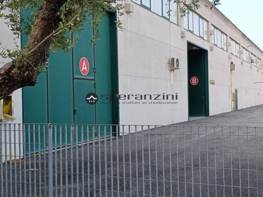 immagine annuncio 4 di 5