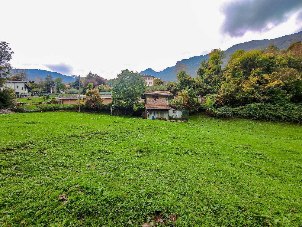 immagine annuncio 1 di 4