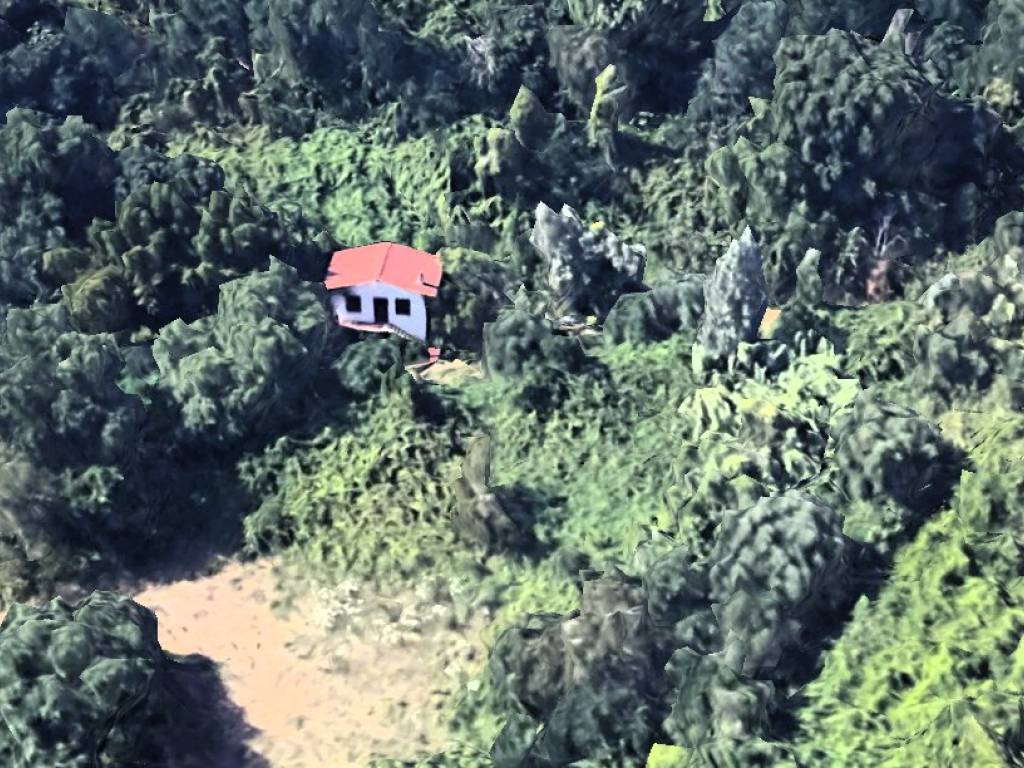 immagine annuncio 1 di 2