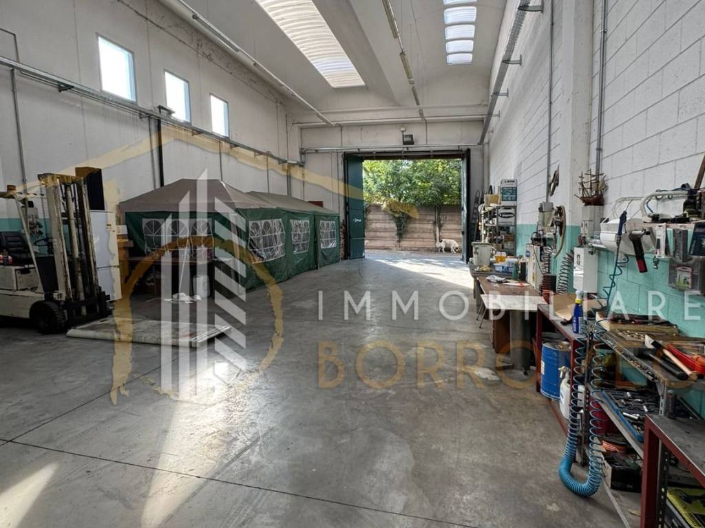 immagine annuncio 2 di 5