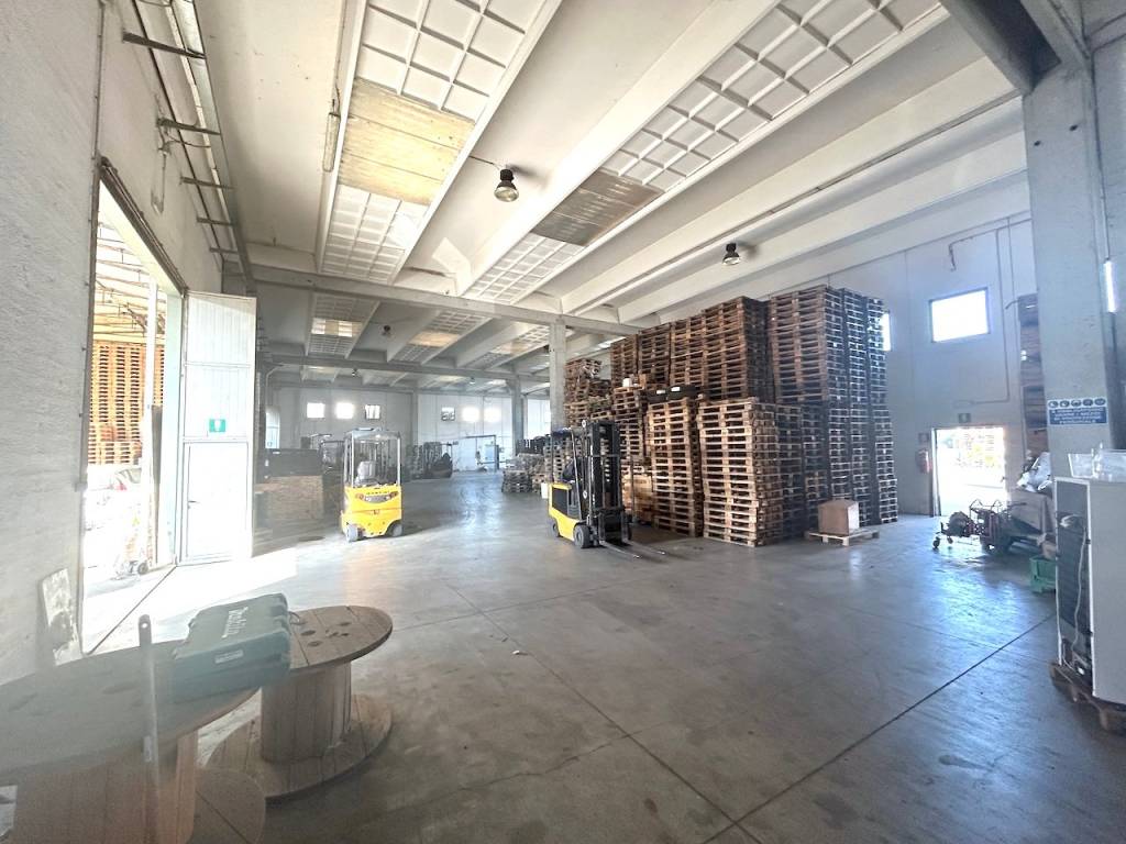 immagine annuncio 1 di 5