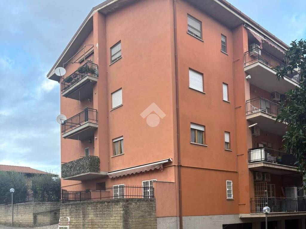 immagine annuncio 1 di 3