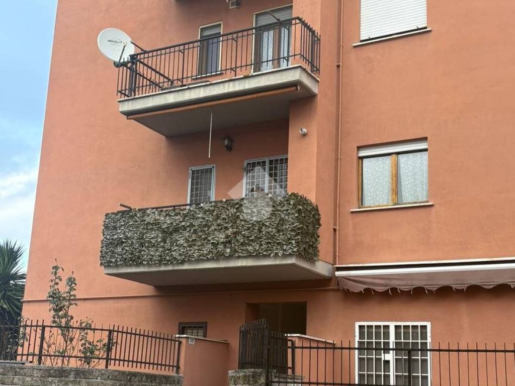 immagine annuncio 2 di 3