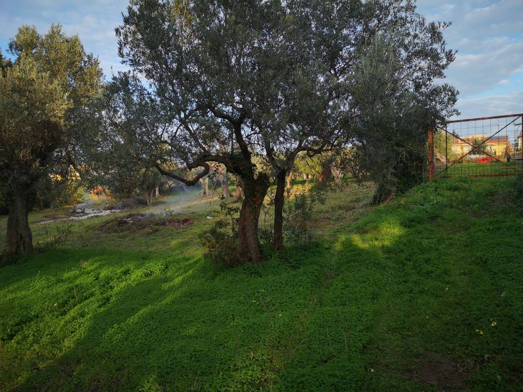 immagine annuncio 1 di 4