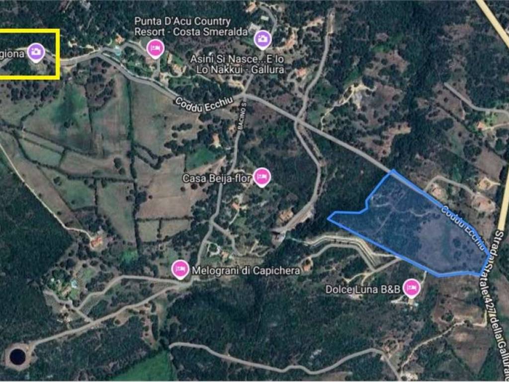 immagine annuncio 3 di 4