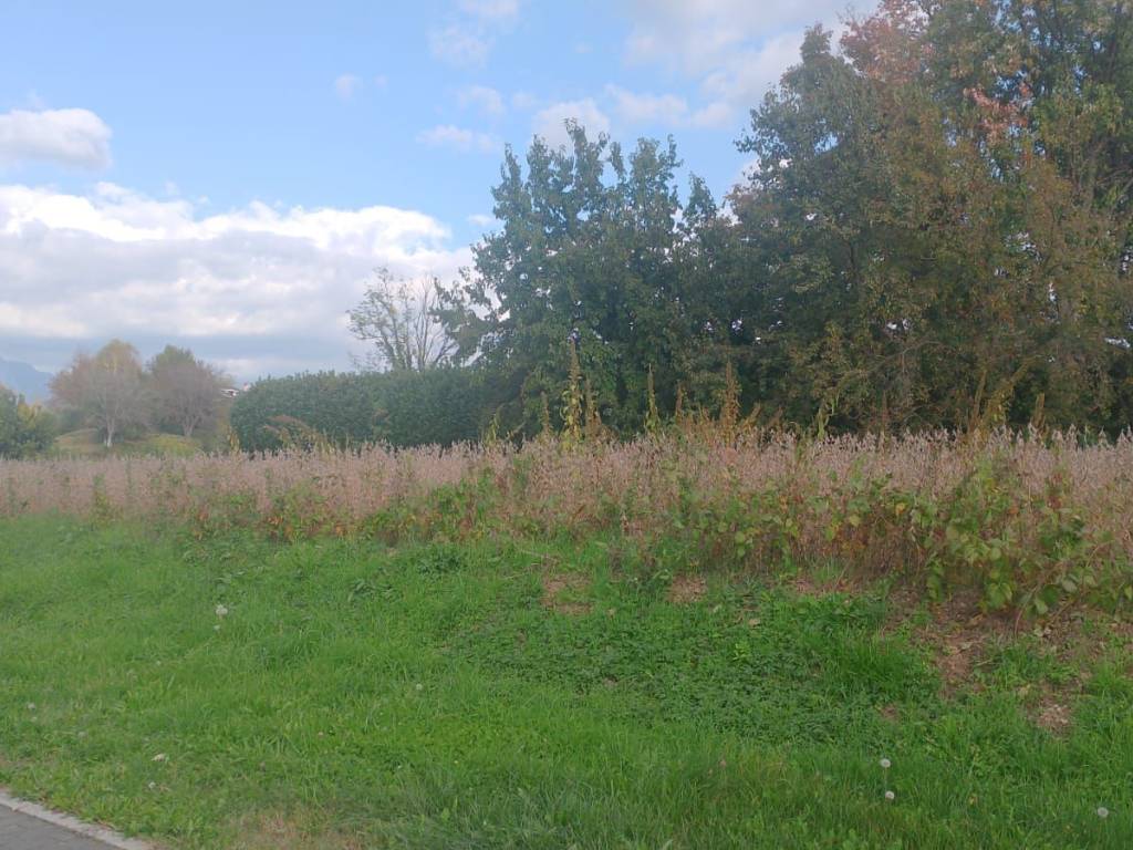 immagine annuncio 2 di 4