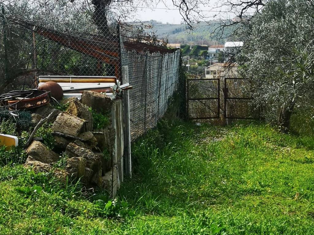 immagine annuncio 3 di 4