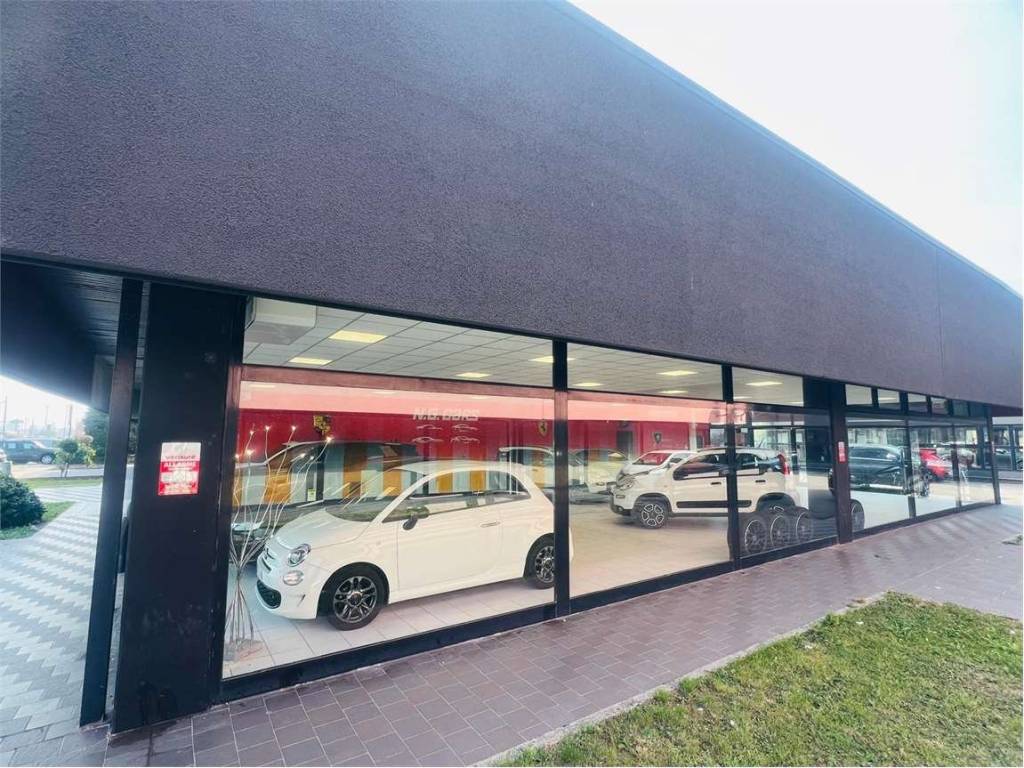 immagine annuncio 1 di 5